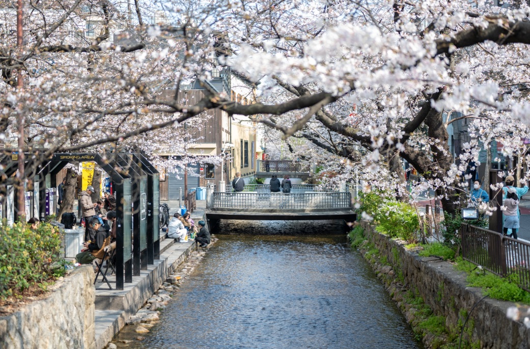 祇園　鴨川
